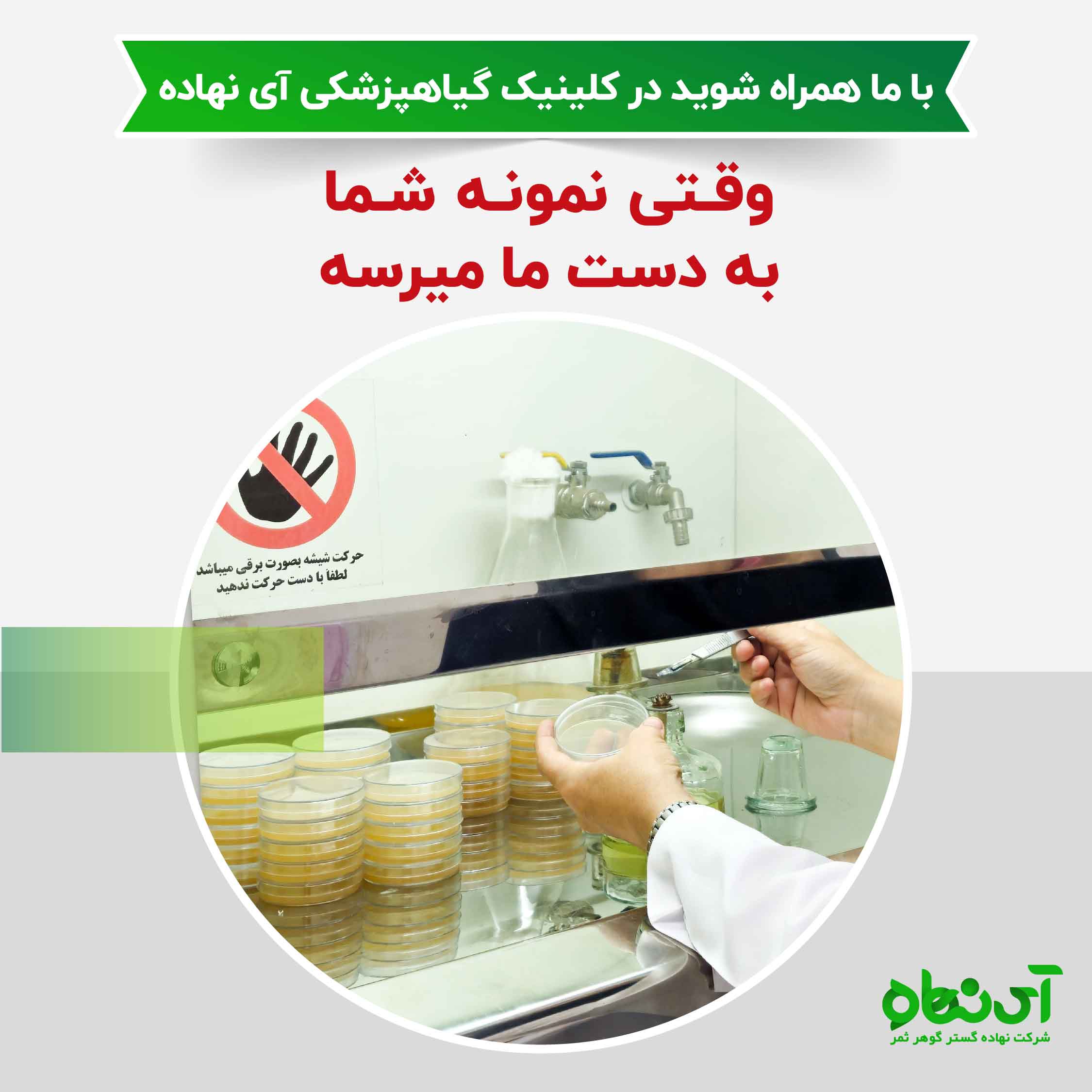 وقتی نمونه شما به دست ما میرسه